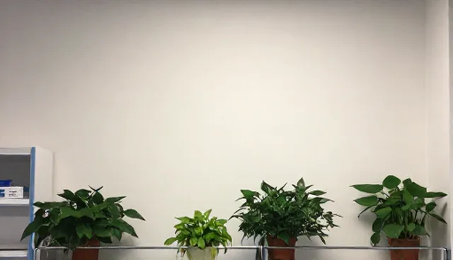 理解偏差问题及处理方向，提升选型服务效率